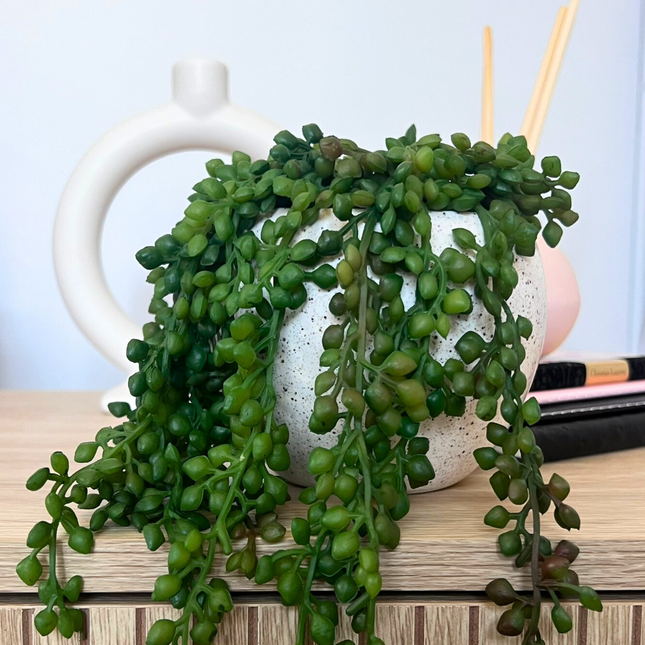 Artificial String Of Pearls Plant - 20cm