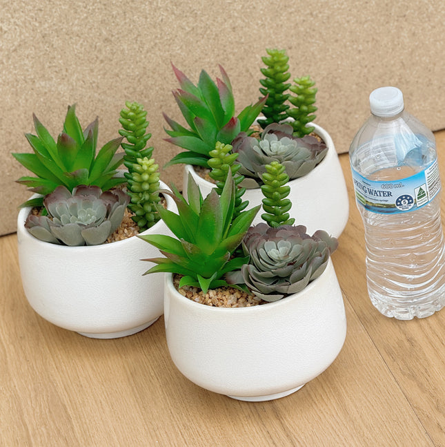 3 pots of artificial succulents