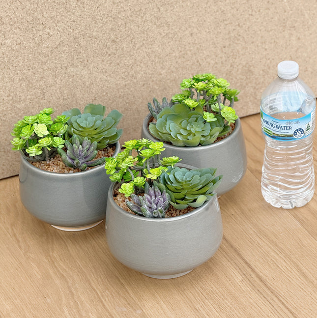 3 pots of Artificial Succulents