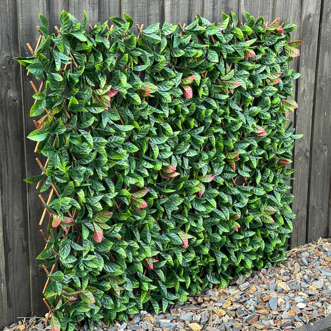 Expanding Trellis - Artificial Red Photinia leaves Outdoor 180 x 90cm