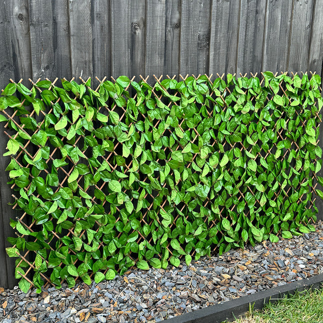 ivy trellis