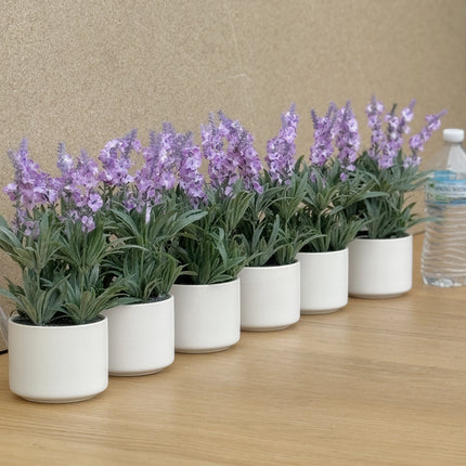 6 pots of Artificial Lavender Purple Plant in white pot 25cm