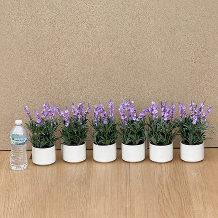 6 pots of Artificial Lavender Purple Plant in white pot 25cm