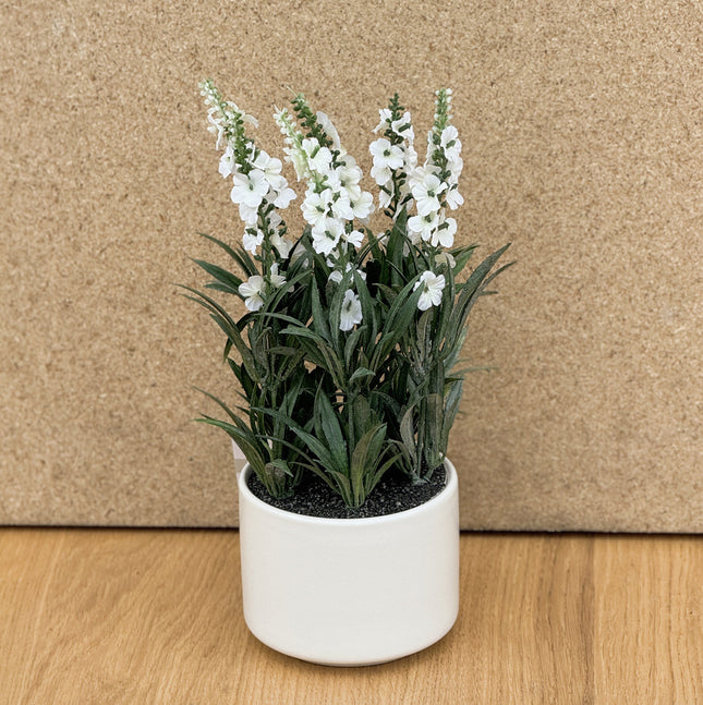 Artificial Lavender White Plant in white pot