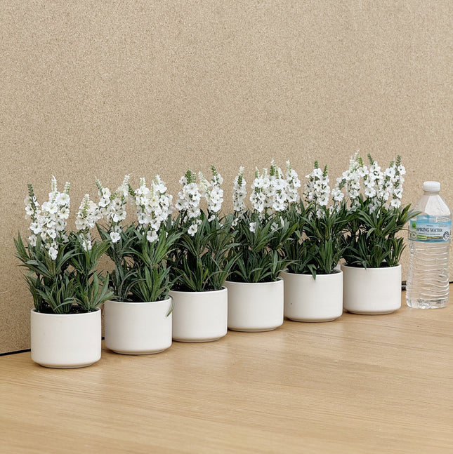 6 pots of Artificial Lavender White Plant in white pot