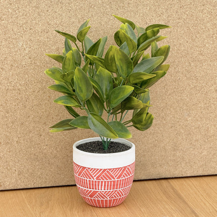 Artificial Photinia Plant in Red Ceramic Pot