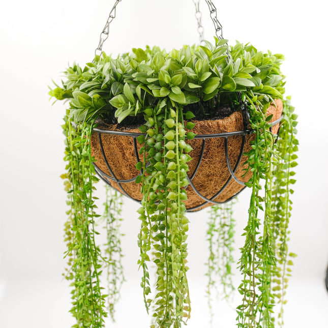 Artificial String Of Pearls with Hanging Basket 50cm