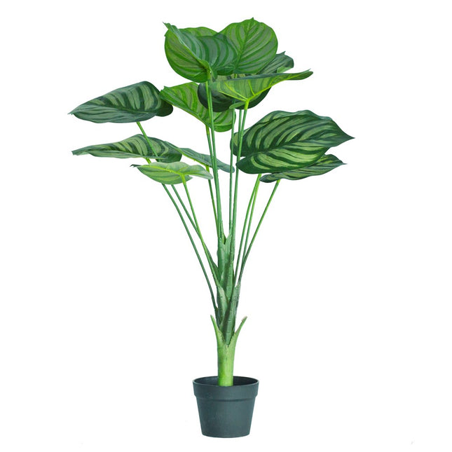 Artificial Calathea Orbifolia Plant 90cm