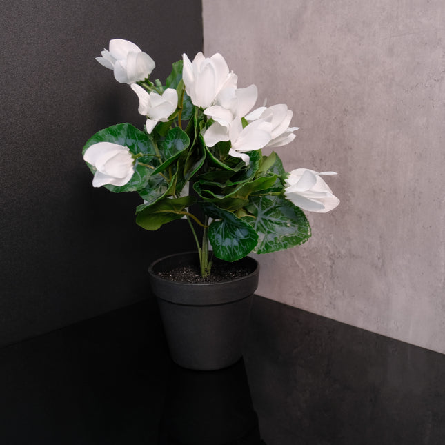 Artificial Cyclamen White Plant 40cm