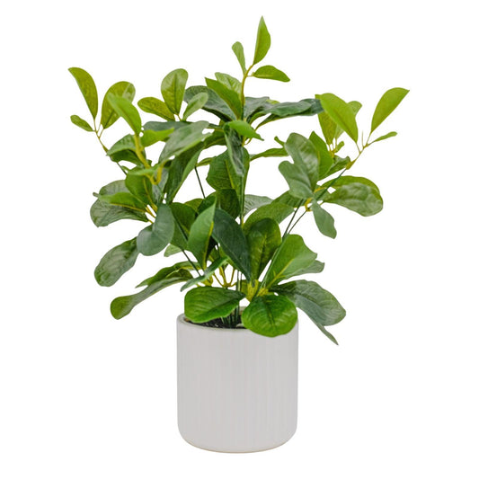 Artificial plants Australia | Indoor & Outdoor Pot Plants Online – Home ...